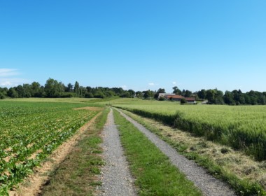 20190617_103214