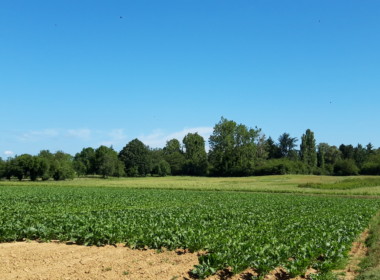 20190617_103355